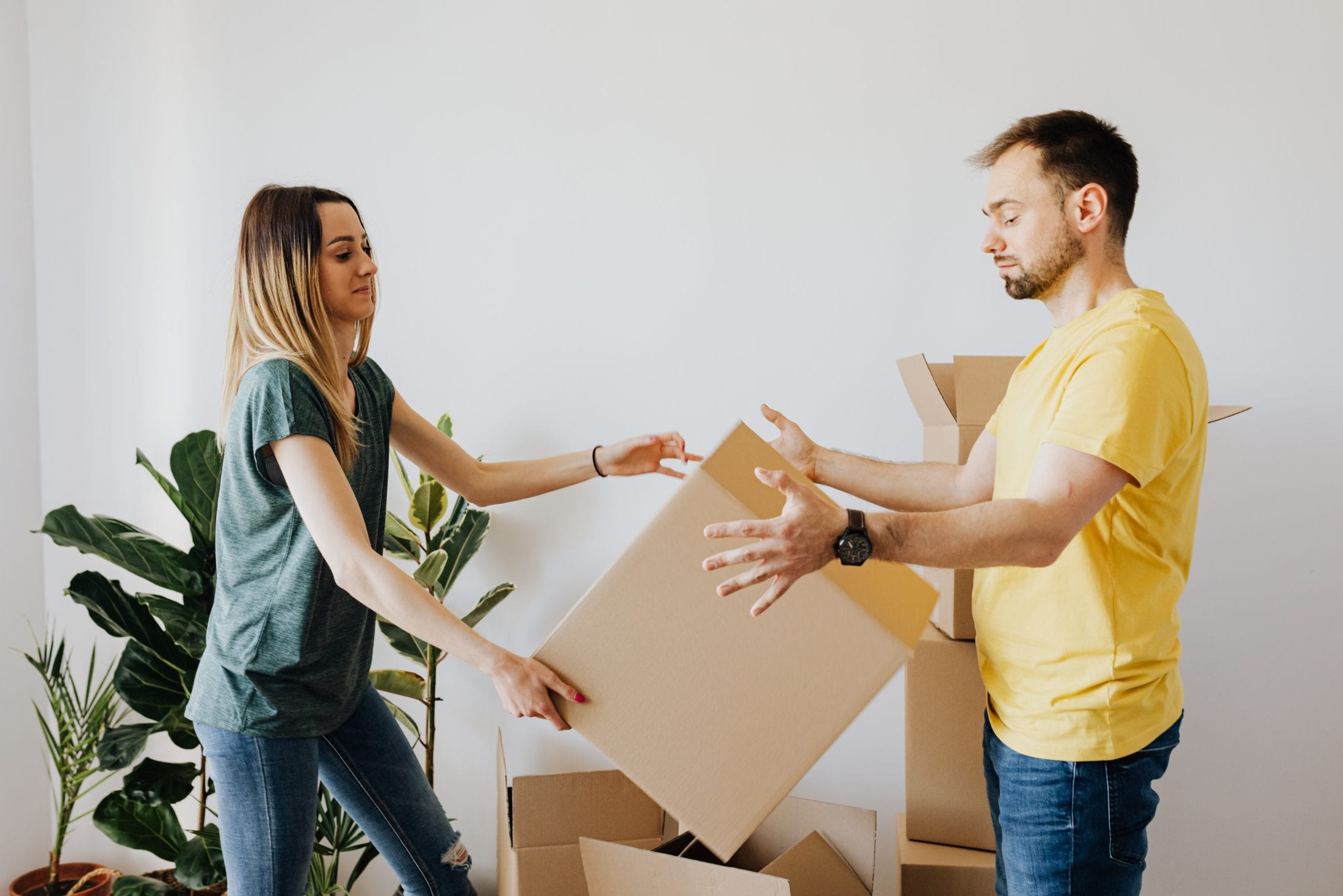 Carnegie Mortgage and Protection Ltd